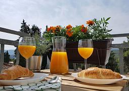 Apartmány 1355-1235