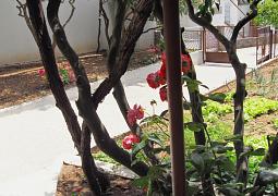 Apartmán 2662