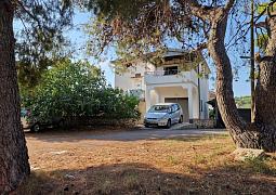 Apartmán 16276