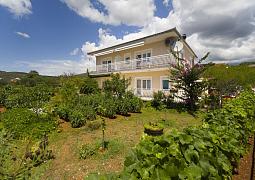Apartmán 19054
