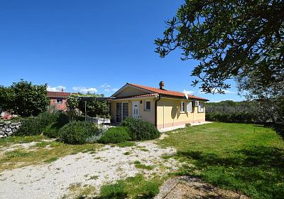 Apartmán 19385