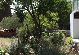 Apartmán 6819