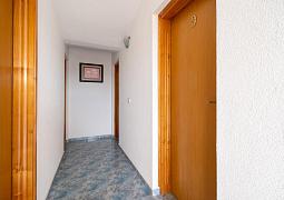 Apartmán 20177