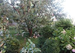 Apartmán 20095