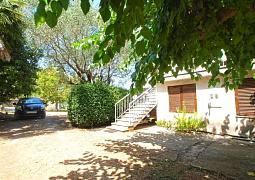 Apartmán 20781