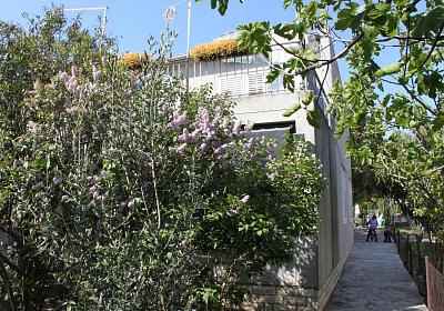 Apartmán 6133