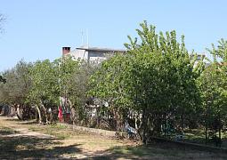 Apartmán 6133