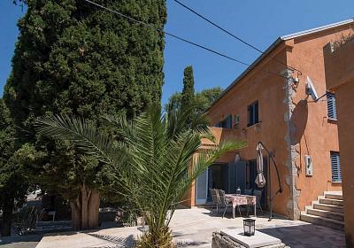 Apartmán 21187