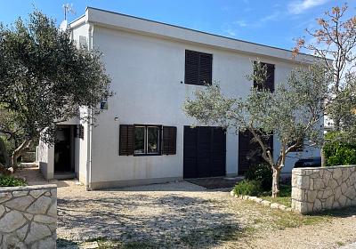 Apartmán 21144