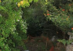 Apartmán 8322