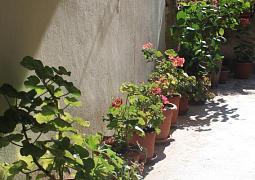Apartmán 8322