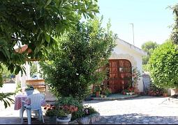 Apartmán 21536