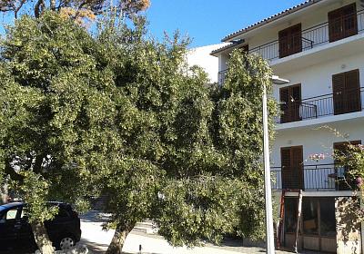 Apartmán 20007