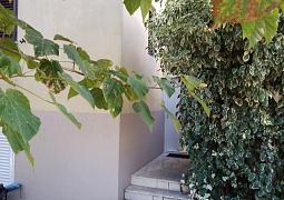 Apartmán 14019