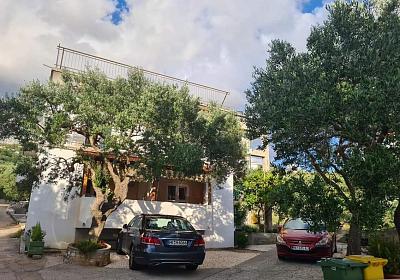 Apartmán 22005