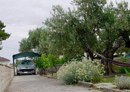 Apartmán 22163