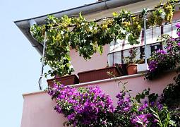 Apartmány 1355-2587