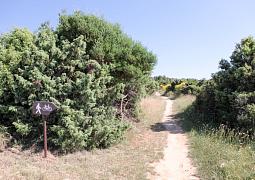 Vila 1318-1123