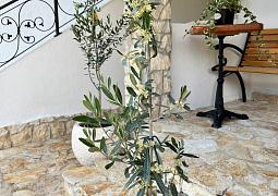 Apartmány 3298-37