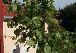 Apartmány 3298-54