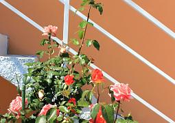 Apartmány 3298-605