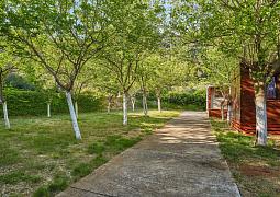 Apartmán 22319