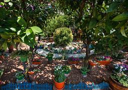 Apartmány 3298-857