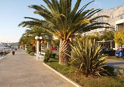 Apartmány 3298-1042