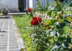 Apartmány 3298-1201