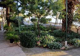 Apartmány 3298-1239