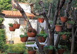 Apartmány 3298-1278