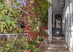 Apartmán 22691