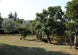 Apartmány 3298-1548