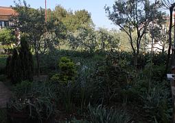 Apartmán 7646
