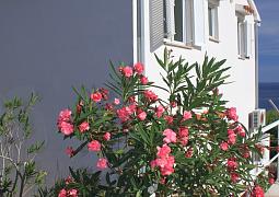 Apartmány 3298-2034