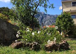Apartmány 3298-2207
