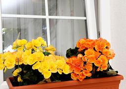 Apartmány 3298-2224