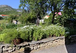 Apartmány 3298-2224