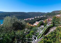 Apartmán 7622