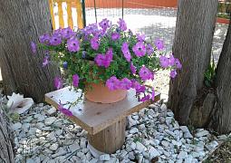 Apartmány 3298-3389
