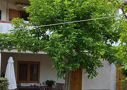Apartmán 8049