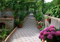Apartmán 8049