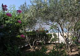 Apartmán 6486
