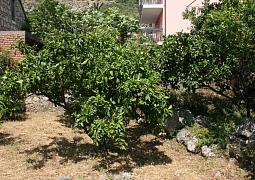 Apartmán 6874