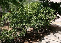 Apartmán 6874