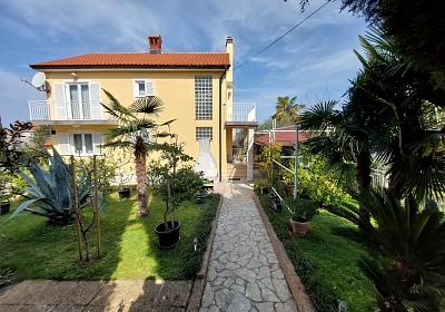 Apartmán 22892
