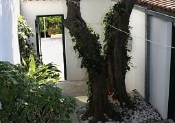 Apartmán 5266
