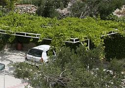 Apartmán 5266