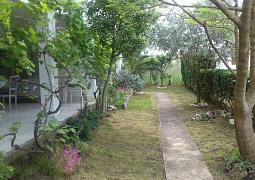 Apartmán 15288