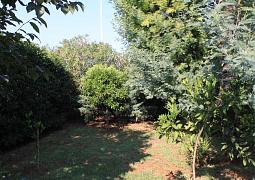 Apartmán 7171